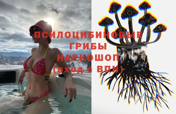 метадон Ладушкин