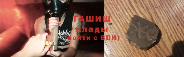 сатива Кулебаки