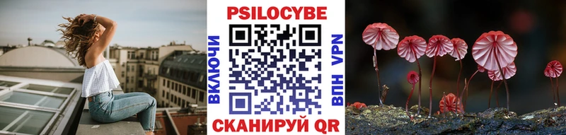 Псилоцибиновые грибы мицелий  Харабали 